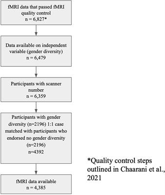 Gender diversity associated with patterns of brain activation seen in populations that experience childhood stress